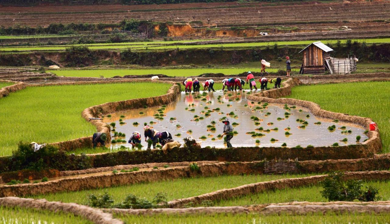 Mu Cang Chai Eco Lodge Nam San Exteriér fotografie