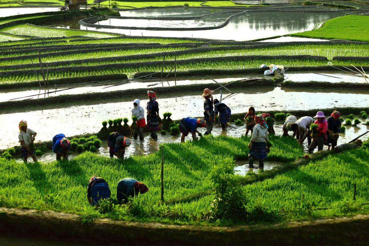 Mu Cang Chai Eco Lodge Nam San Exteriér fotografie