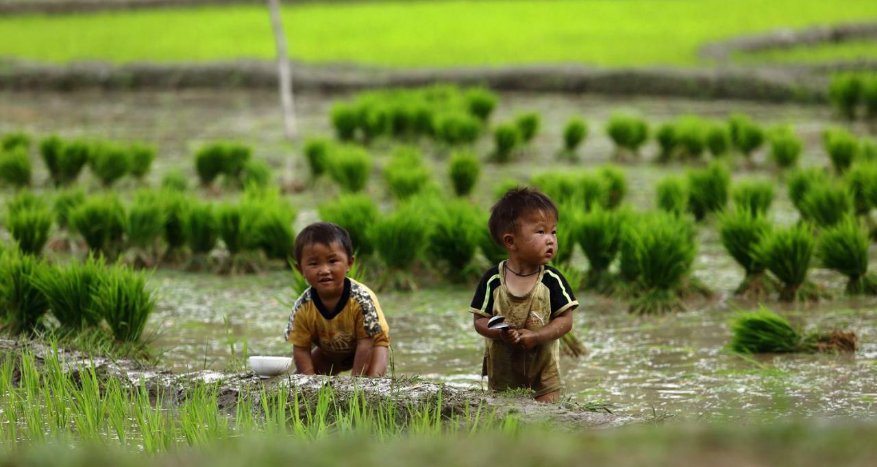 Mu Cang Chai Eco Lodge Nam San Exteriér fotografie