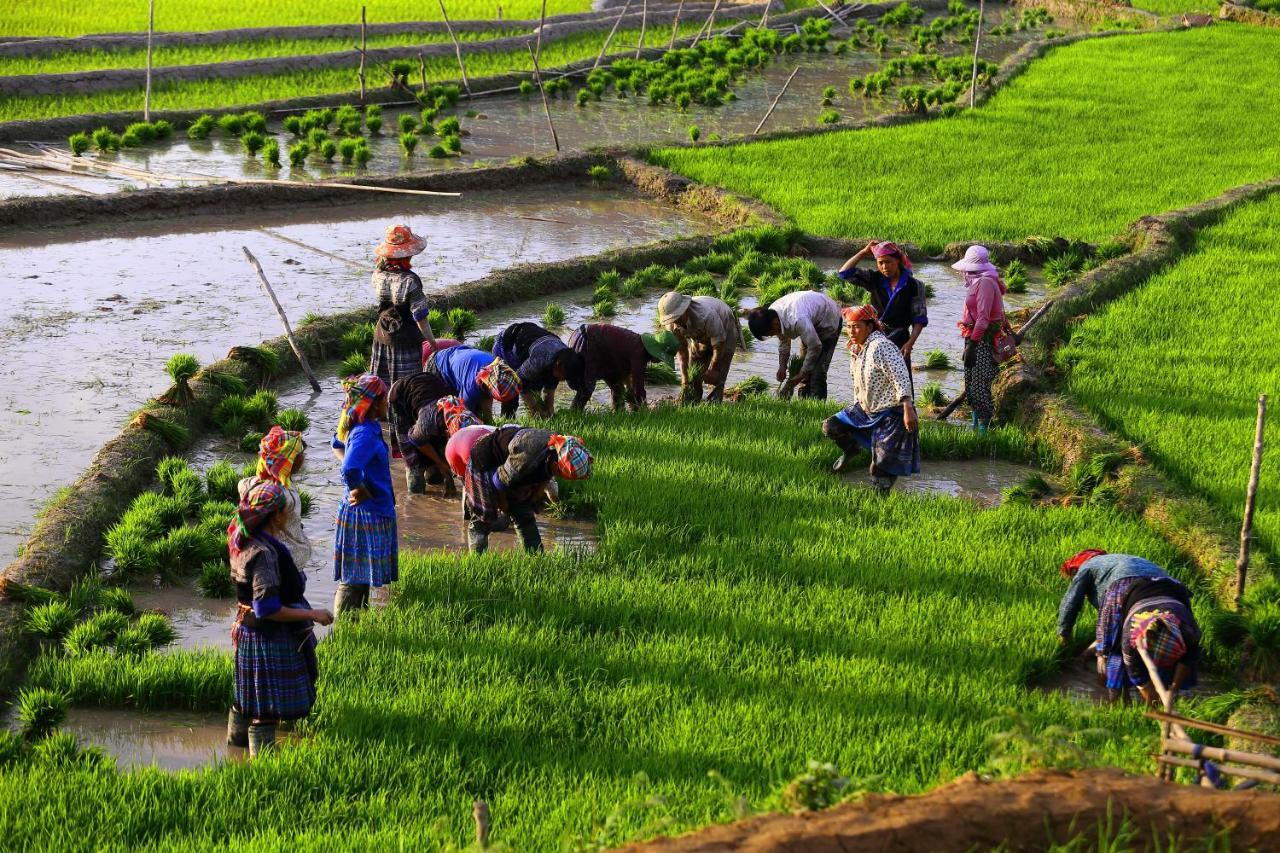 Mu Cang Chai Eco Lodge Nam San Exteriér fotografie